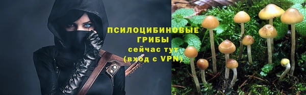 спайс Балахна