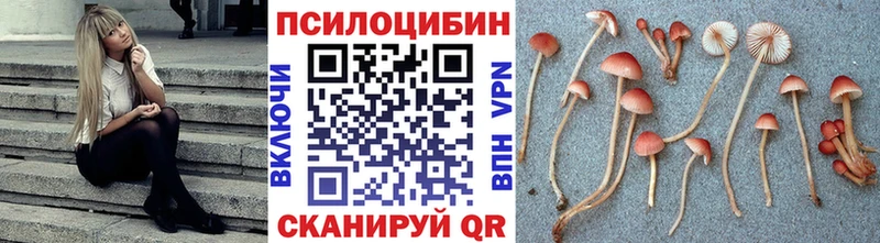 Псилоцибиновые грибы GOLDEN TEACHER  Шахунья 